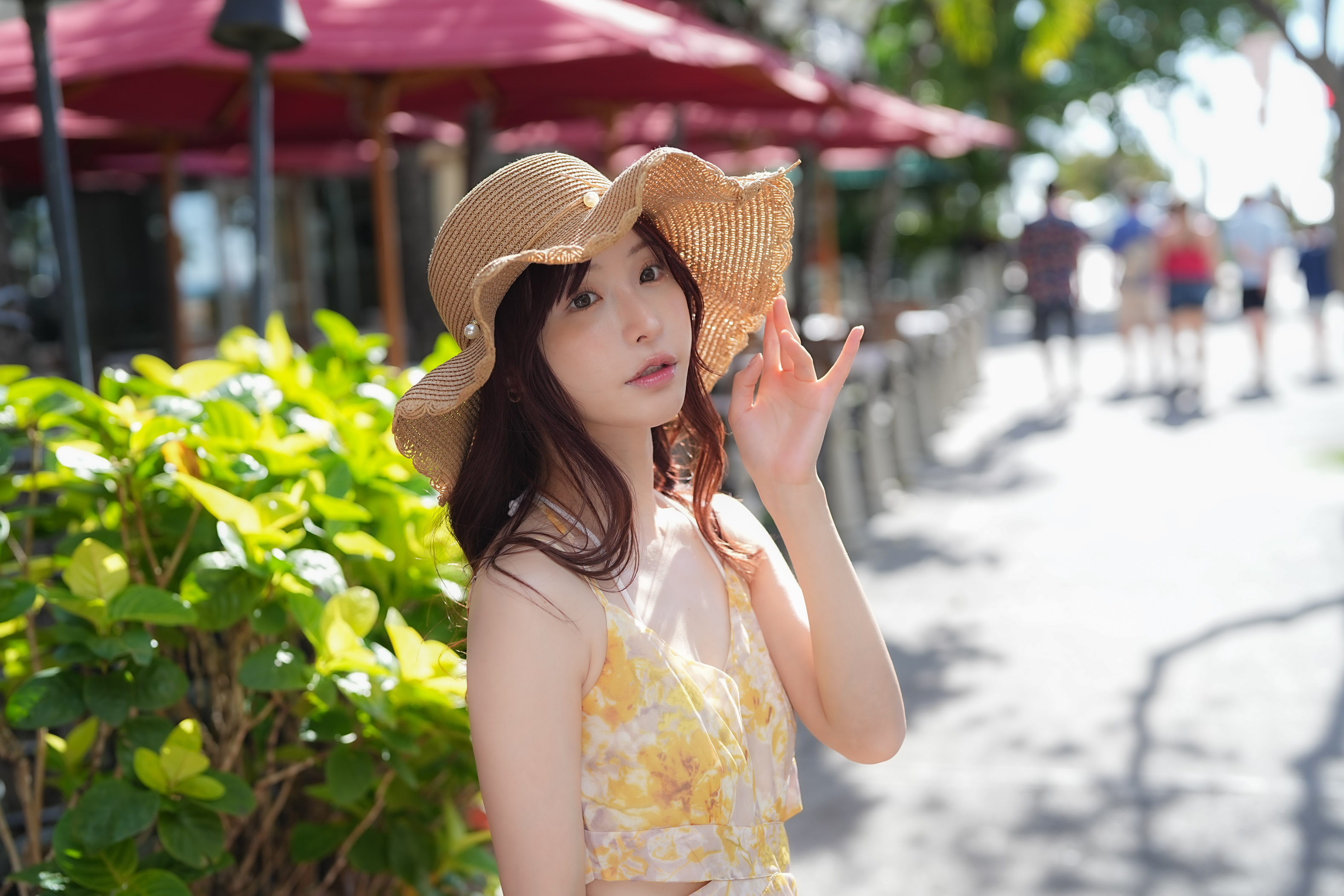 dtphotos